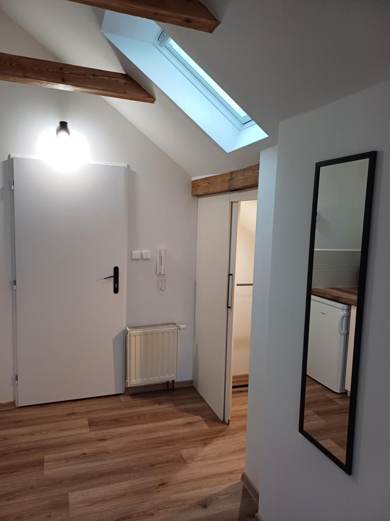 Loft Apartment カルロヴィ・ヴァリ エクステリア 写真