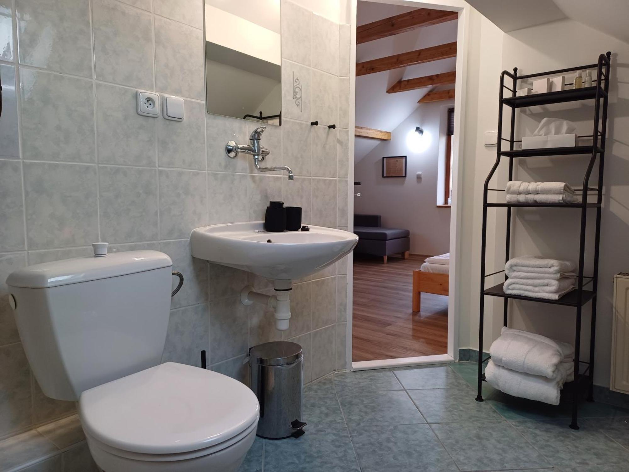 Loft Apartment カルロヴィ・ヴァリ エクステリア 写真