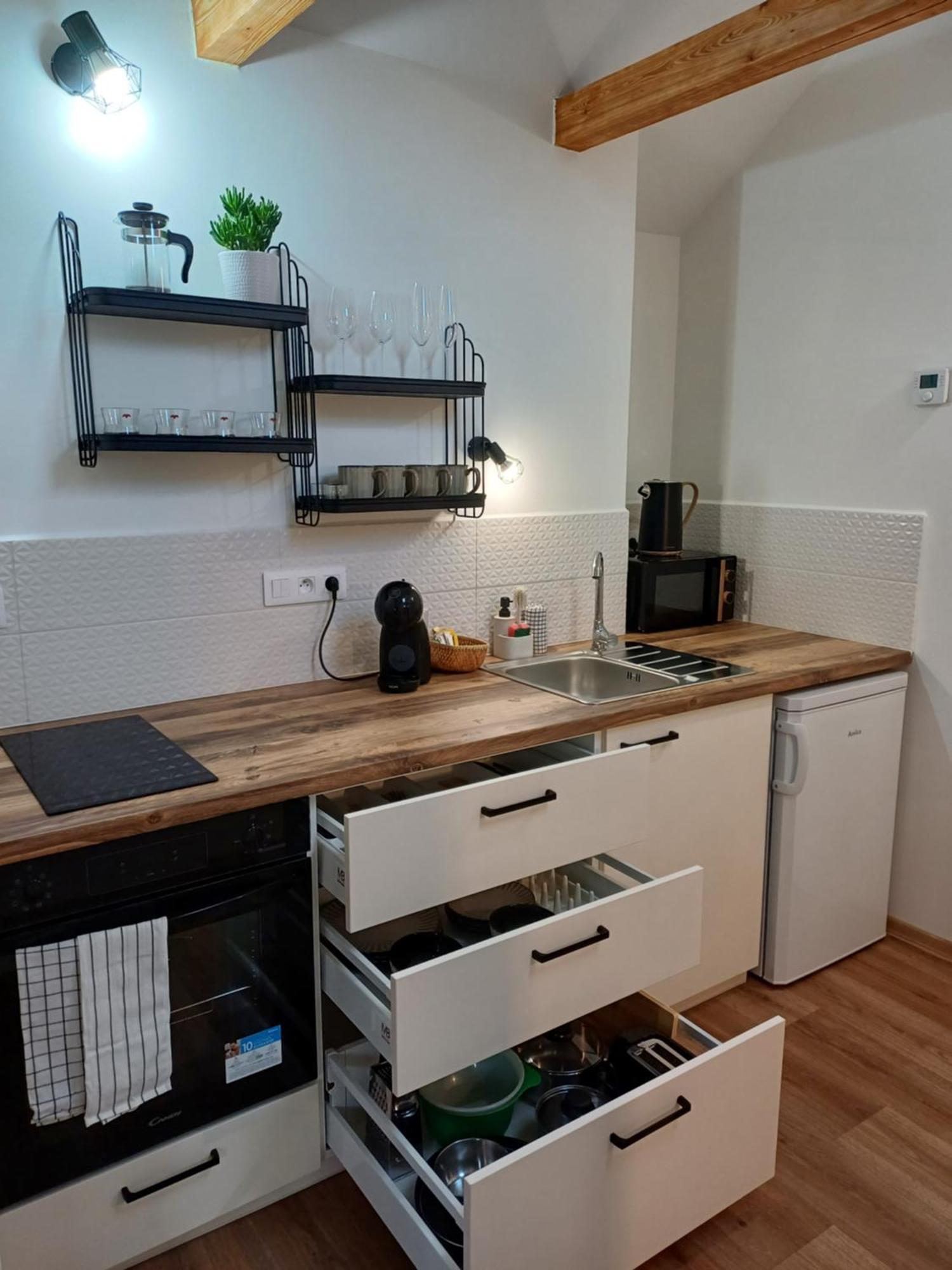Loft Apartment カルロヴィ・ヴァリ エクステリア 写真