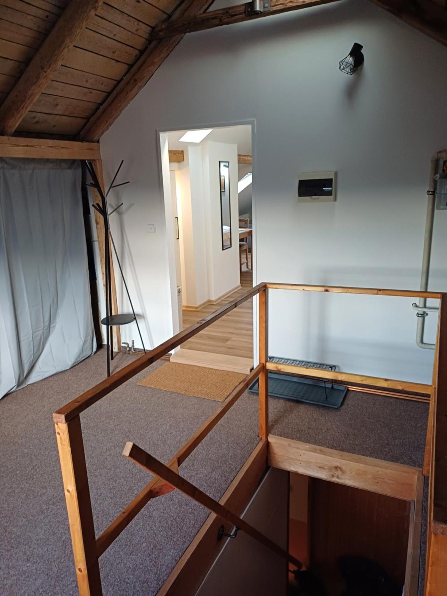 Loft Apartment カルロヴィ・ヴァリ エクステリア 写真